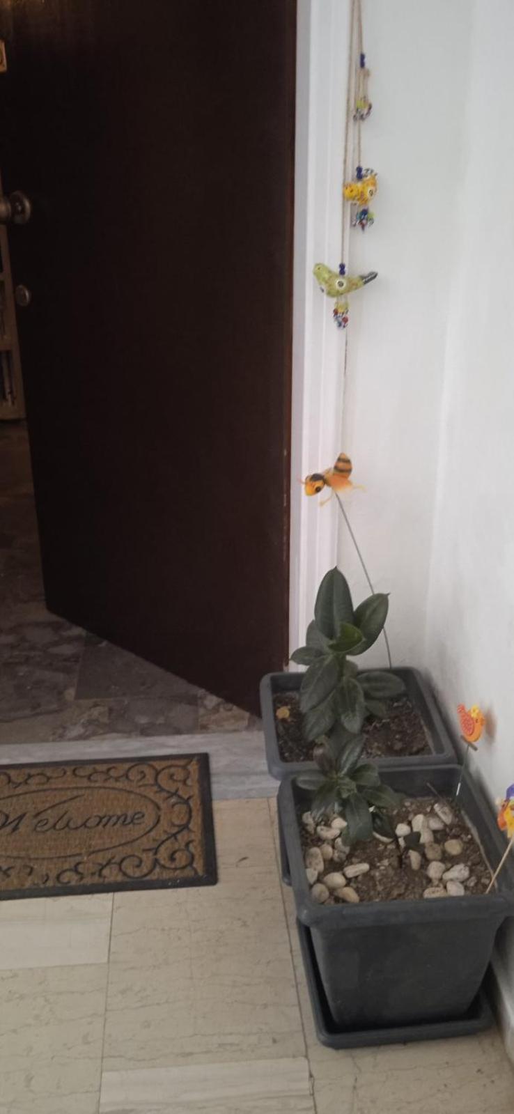 Campelina Home, 2Bd Near Corfu Town Εξωτερικό φωτογραφία